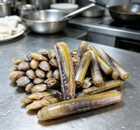 Fresh Bamboo Clams